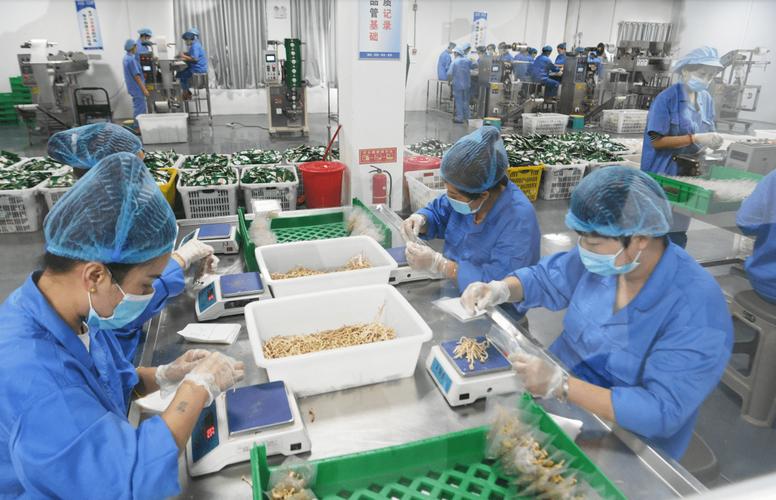 亳州市煜知堂生物科技